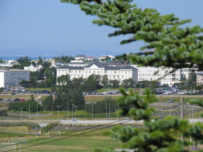 Íslensk rannsókn sýnir fram á auknar líkur á nýrnafrumukrabbameini hjá ákveðnum starfsstéttum