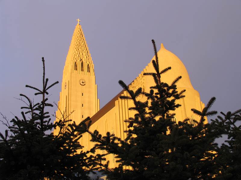 Landspítaladagur í Hallgrímskirkju 24. nóvember