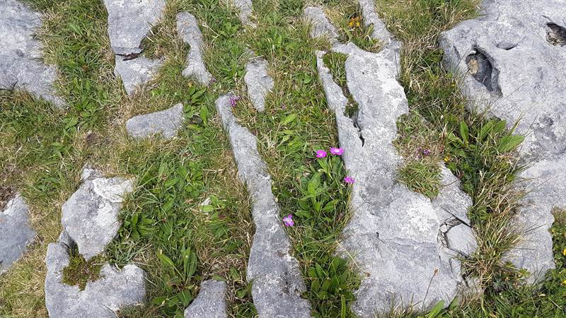 Dagskrá ráðstefnu þriðja árs læknanema 4. til 6. maí