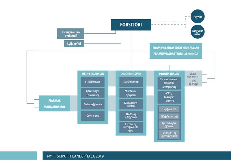 Forstjórapistill: Breytingar á skipuriti Landspítala (myndskeið)
