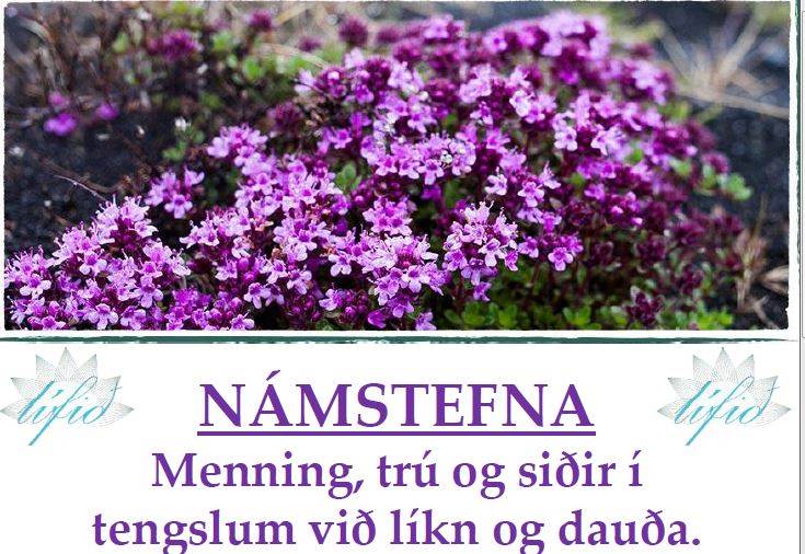 Námstefna 14. maí um menningu, trú og siði í tengslum við líkn og dauða