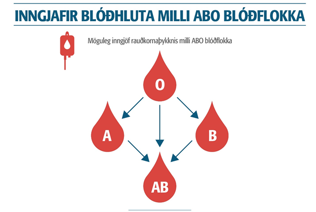 Blóðbankinn - blóðgjafafélagið - grein eftir Hafrúnu Dóru Júlíusdóttur