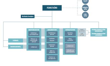 Forstjorapistill-Nytt-skipurit-Landspitala-Hringbrautarverkefnid-og-COVID-19