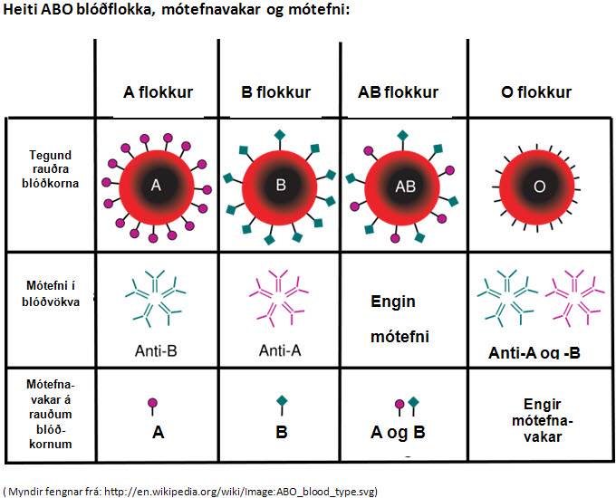 Blóðbankinn - Aðalfundur Blóðgjafafélags Íslands