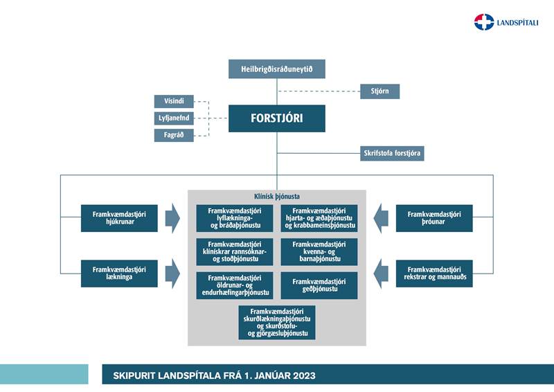 Fjallað var um skipurit Landspítala á ársfundi spítalans 2023